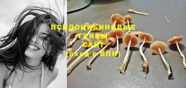 мет Абинск