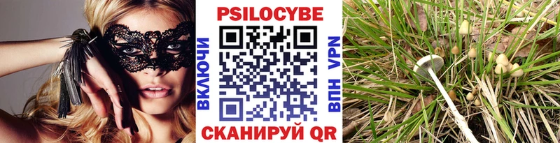 kraken ONION  Россошь  Галлюциногенные грибы Psilocybine cubensis 